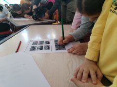 viber_slika_2025-03-04_11-42-35-532.jpg